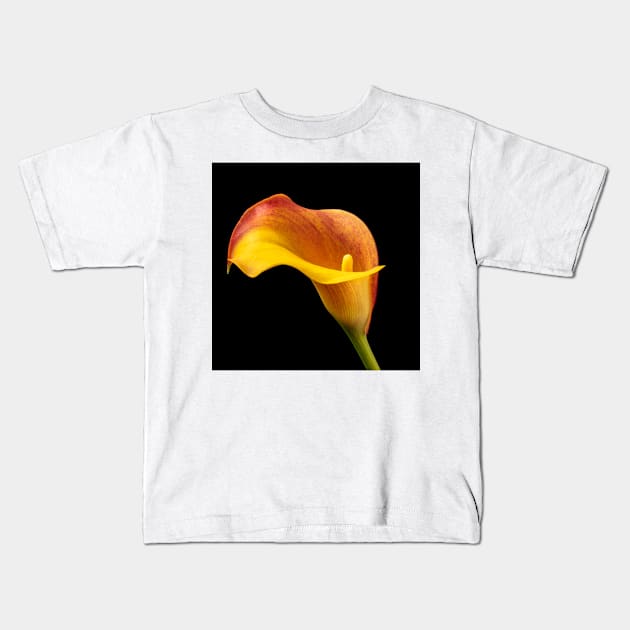 Single Red And Yellow Calla Lily Kids T-Shirt by photogarry